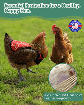 NHWNHW saddle protects feathered backs during mating and pecking.