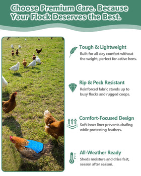 NHWNHW saddles keep a backyard flock harmonious and productive.