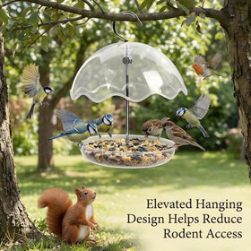 NICAI Kitchen bird feeder with removable bottom seed tray for easy cleaning