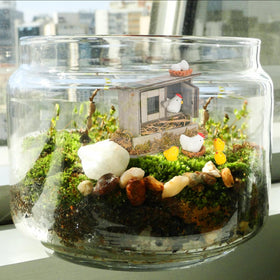 Nicunom micro landscape kit sparks DIY creativity and scene building