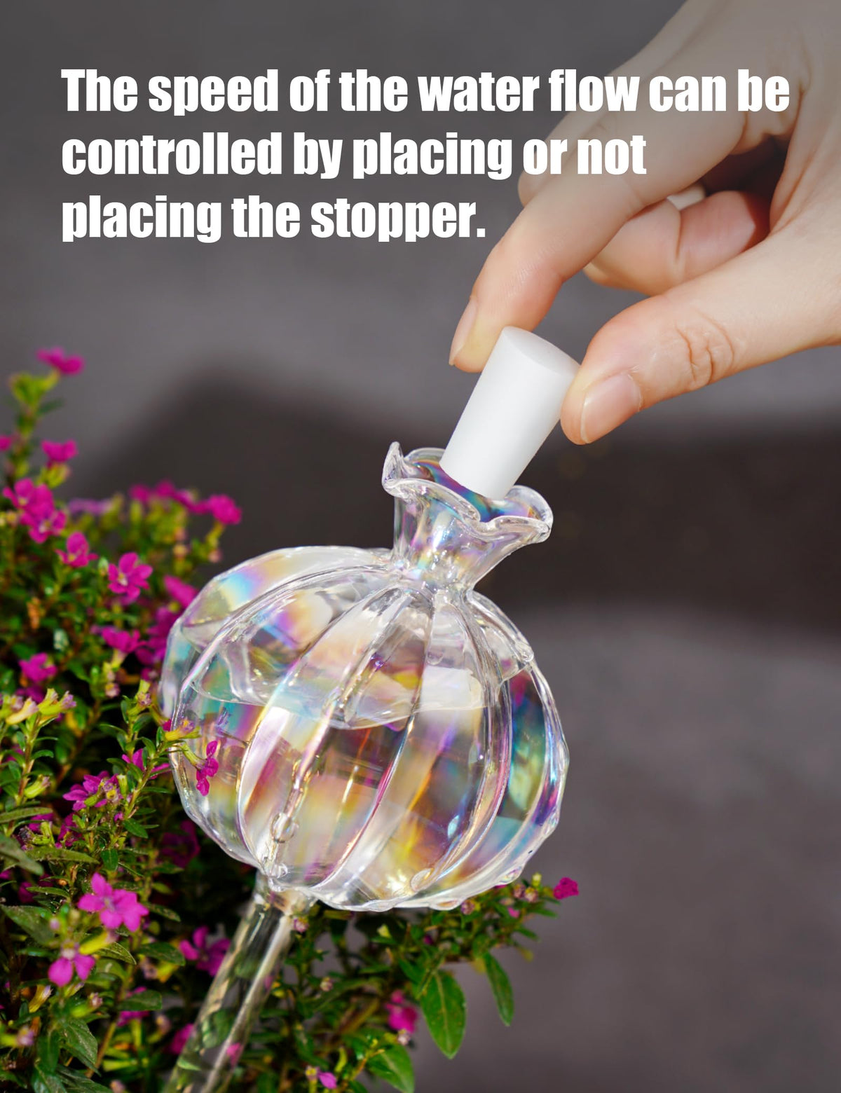NiHome cactus glass waterer large, easy soil insertion for consistent soil moisture.