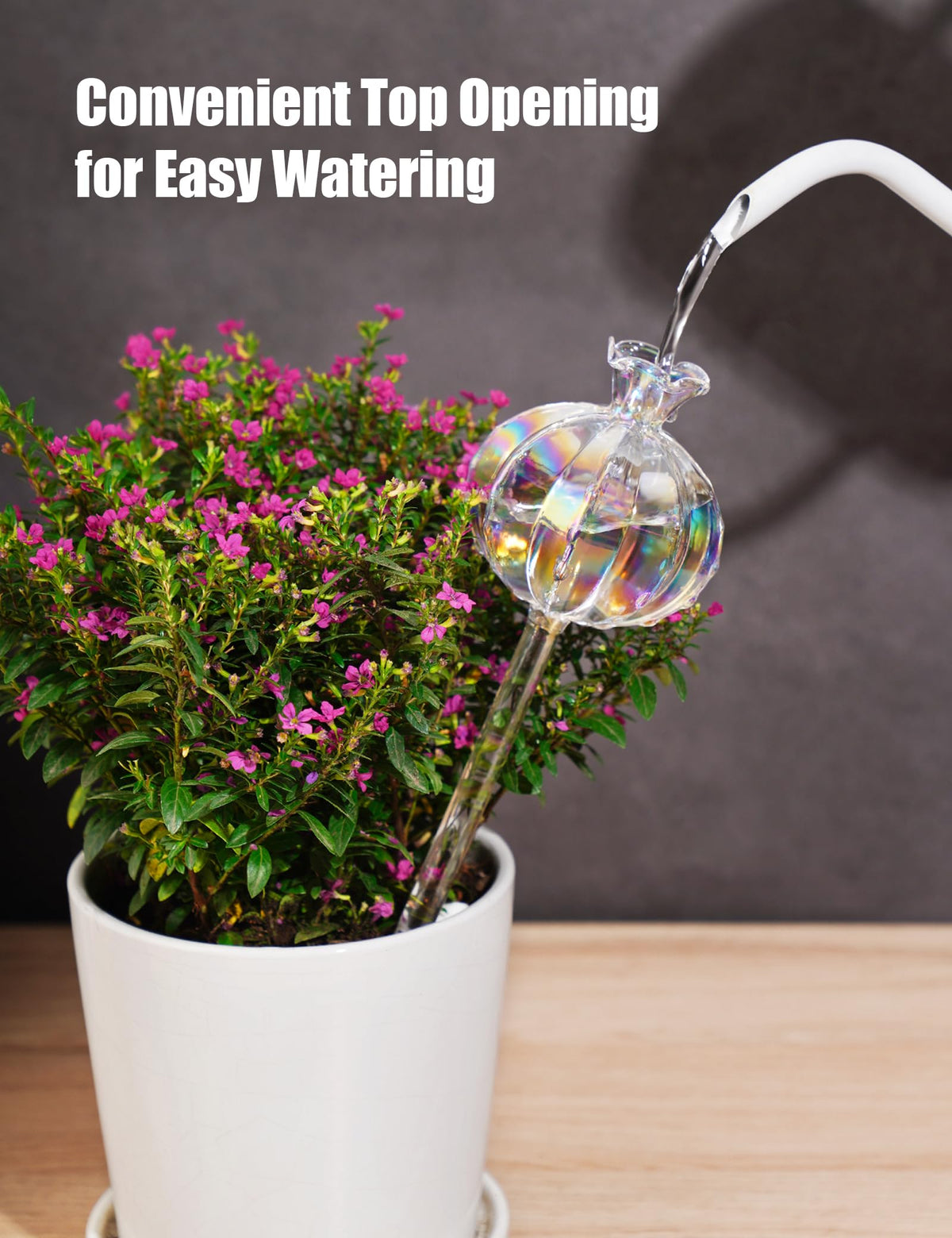 NiHome iridescent cactus glass waterer medium, ideal for medium pots.
