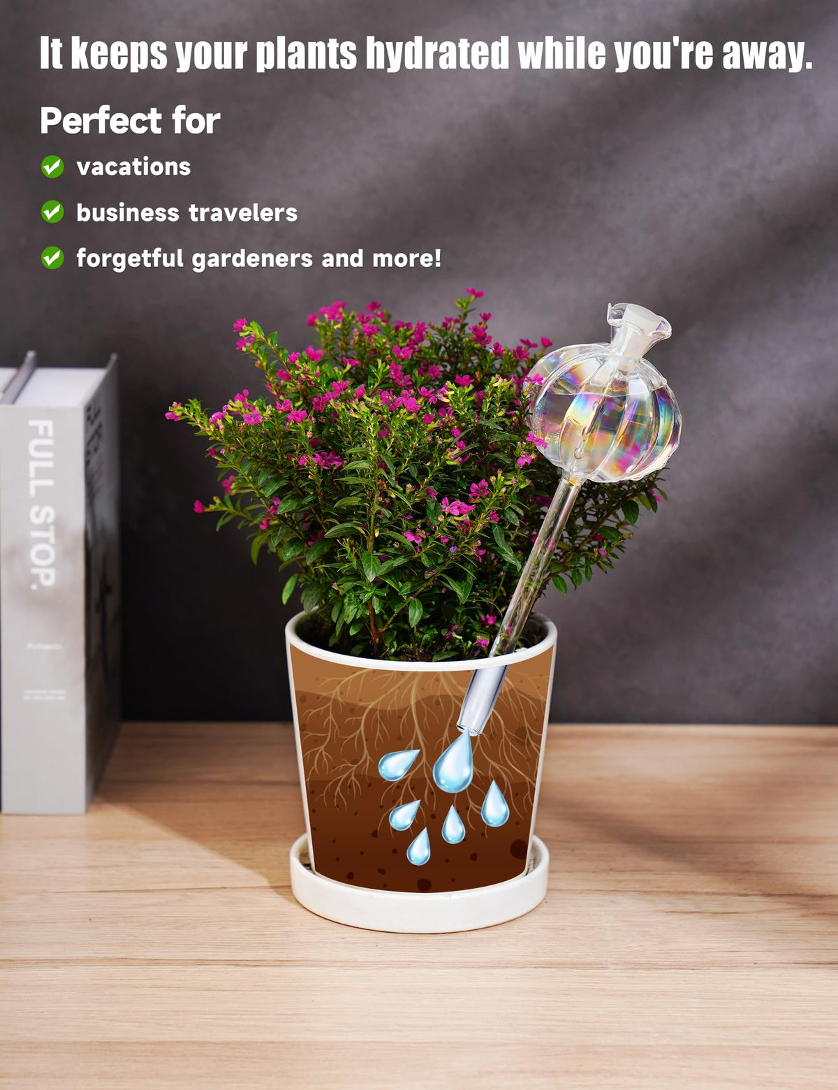 NiHome cactus glass watering bulb medium, simple refill and long-lasting hydration.