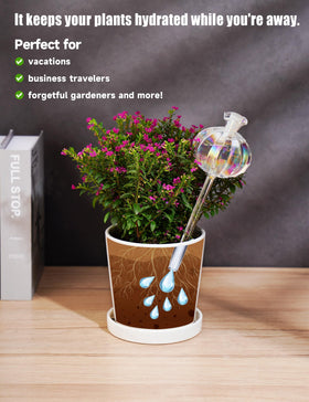 NiHome cactus glass watering bulb medium, simple refill and long-lasting hydration.