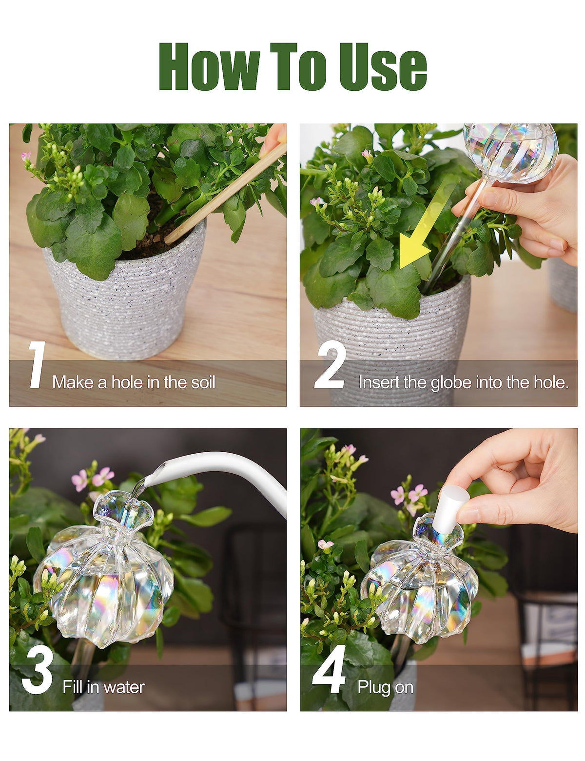 NiHome packaging image of iridescent cactus bulbs, safe delivery guaranteed.