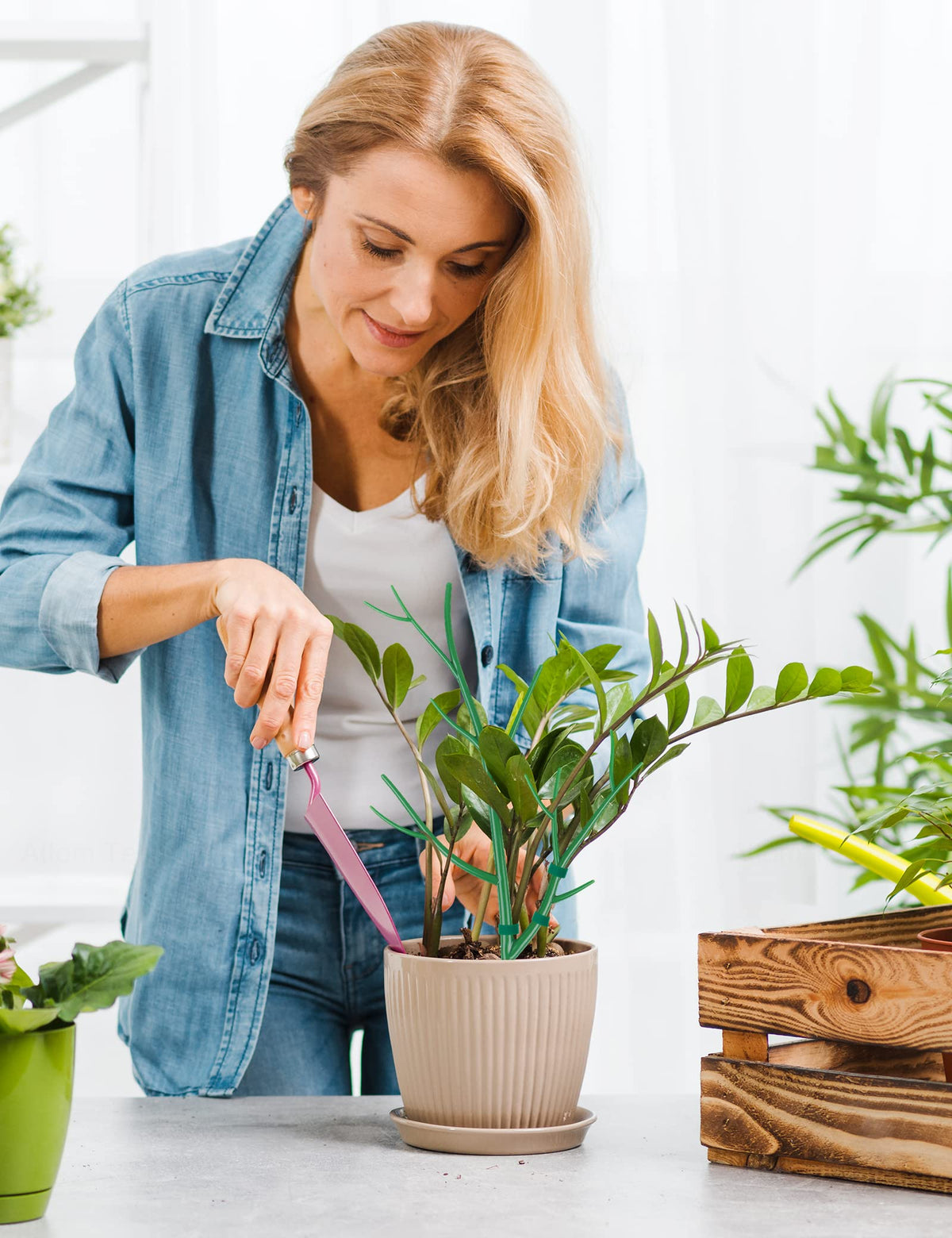 NiHome climbing plant support kit keeps vines upright and tidy
