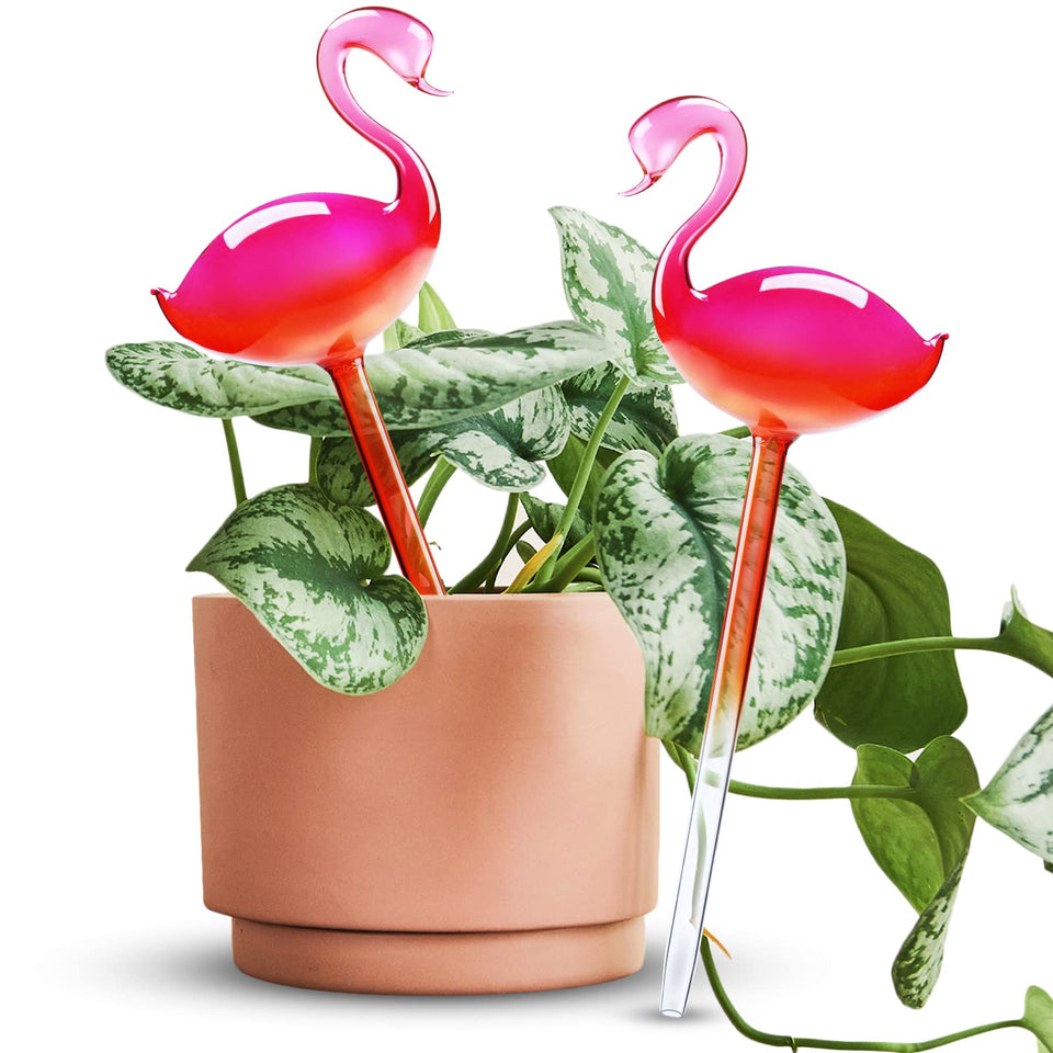 NiHome flamingo-gradient glass globe decorative self-watering for indoor plants