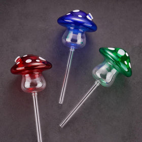 NiHome mushroom glass bulb in soil demonstrates automatic watering.