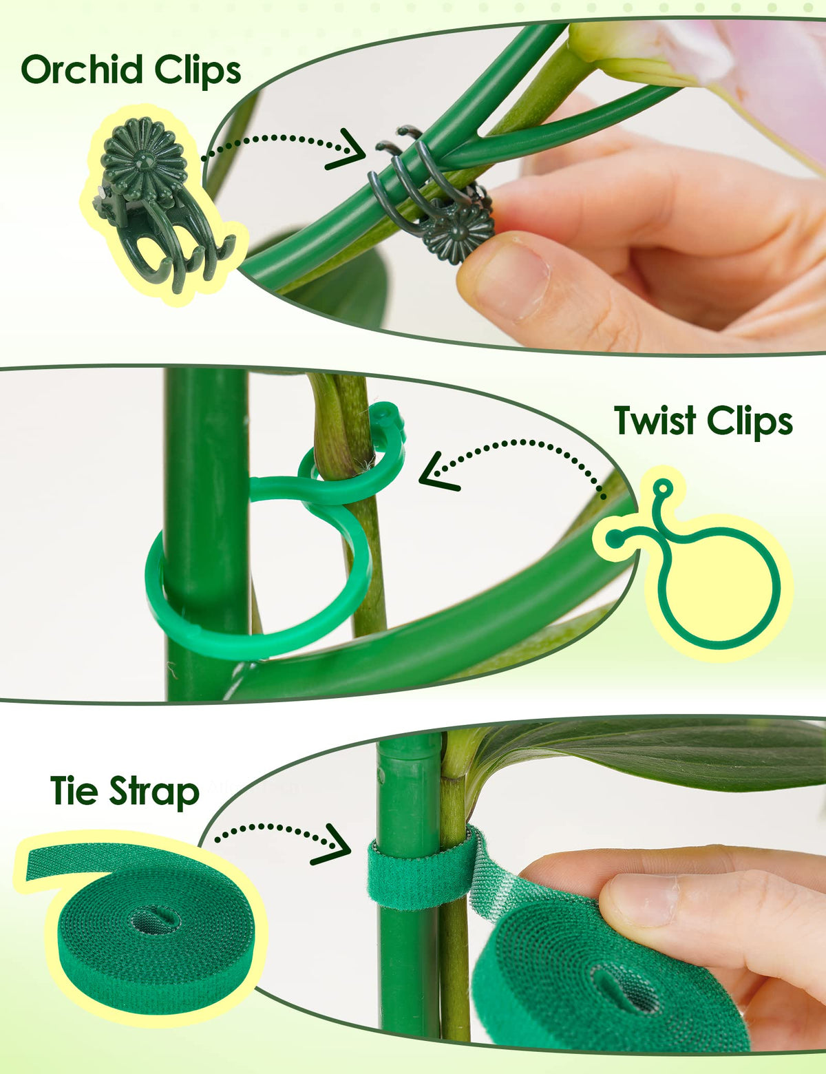 NiHome orchid clips secure blooms along stems for neat growth