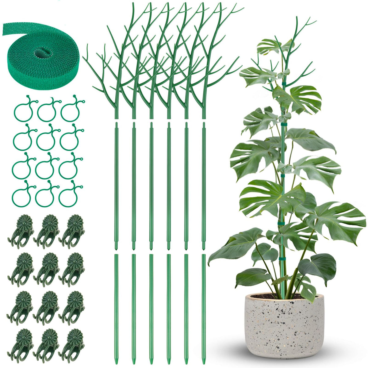 NiHome twig plant stake set blends with indoor greenery for discreet support