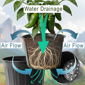 Niiiice bottom drainage holes promote soil drainage and aeration