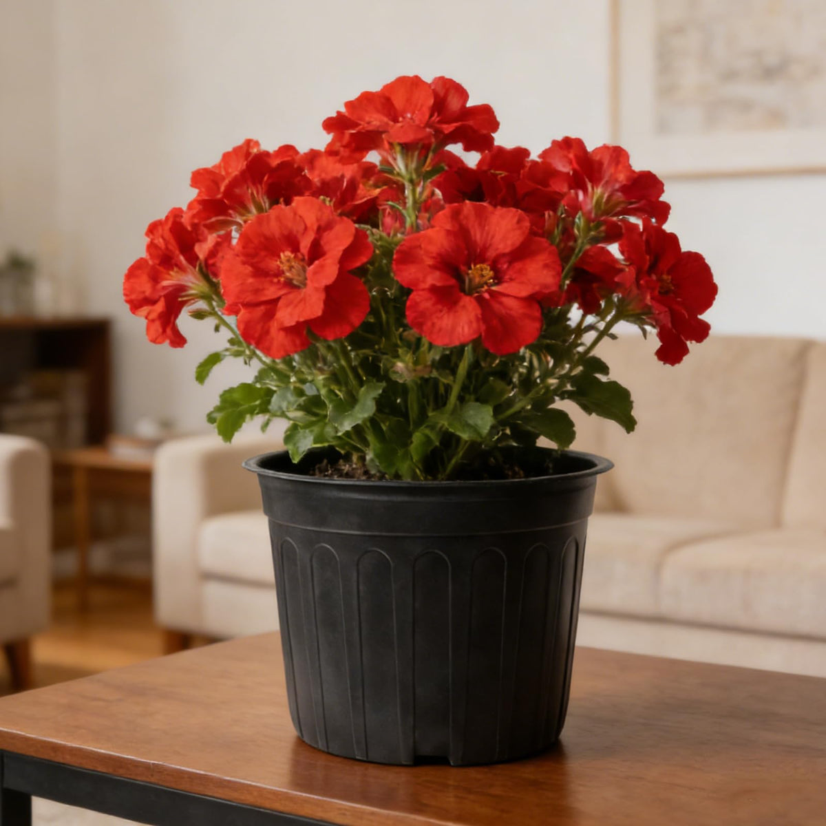 Niiiice versatile indoor/outdoor pots for cuttings and seedlings