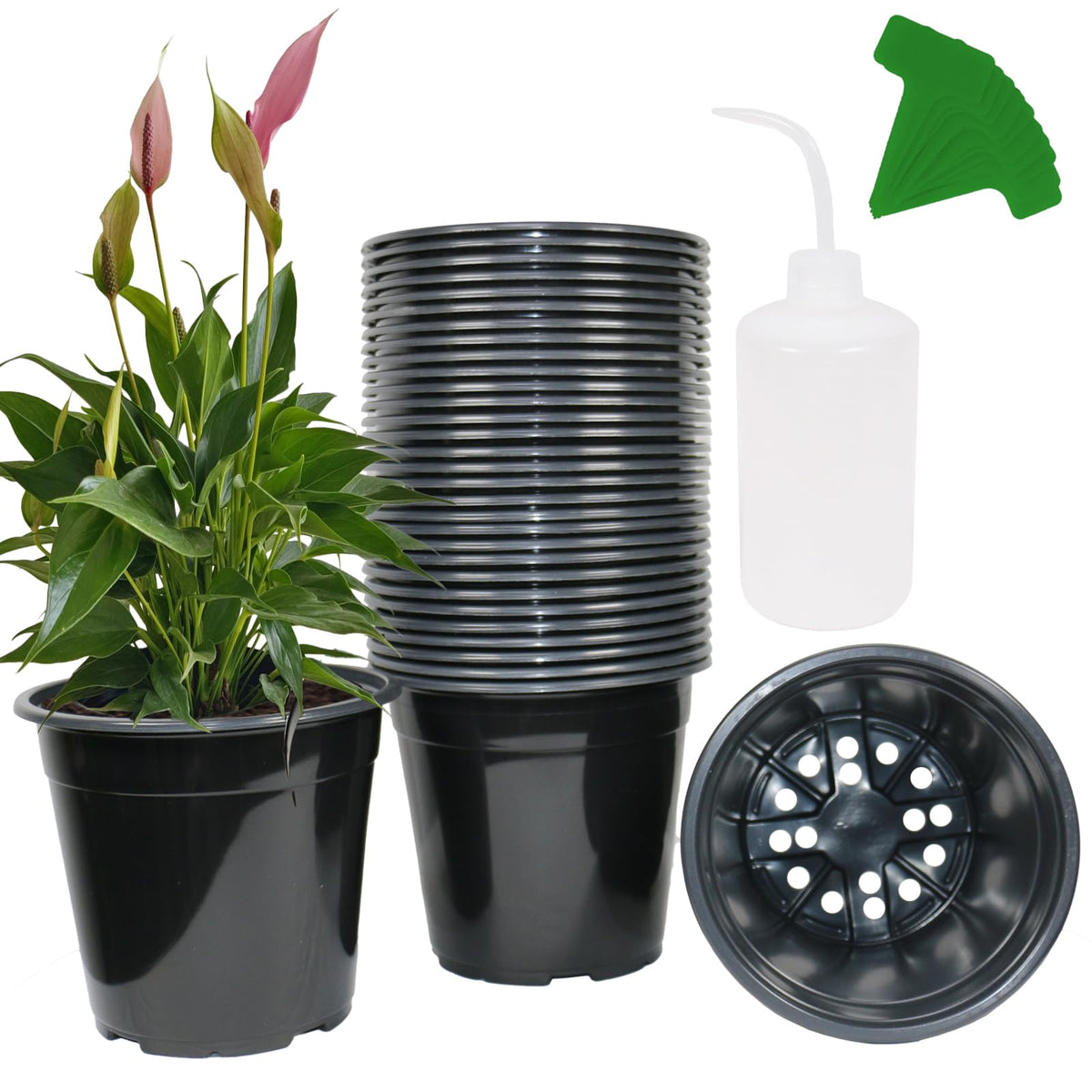 Niiiice 32-pack nursery pots ready for seed starting and transplanting indoors or outdoors.