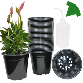 Niiiice 32-pack nursery pots ready for seed starting and transplanting indoors or outdoors.