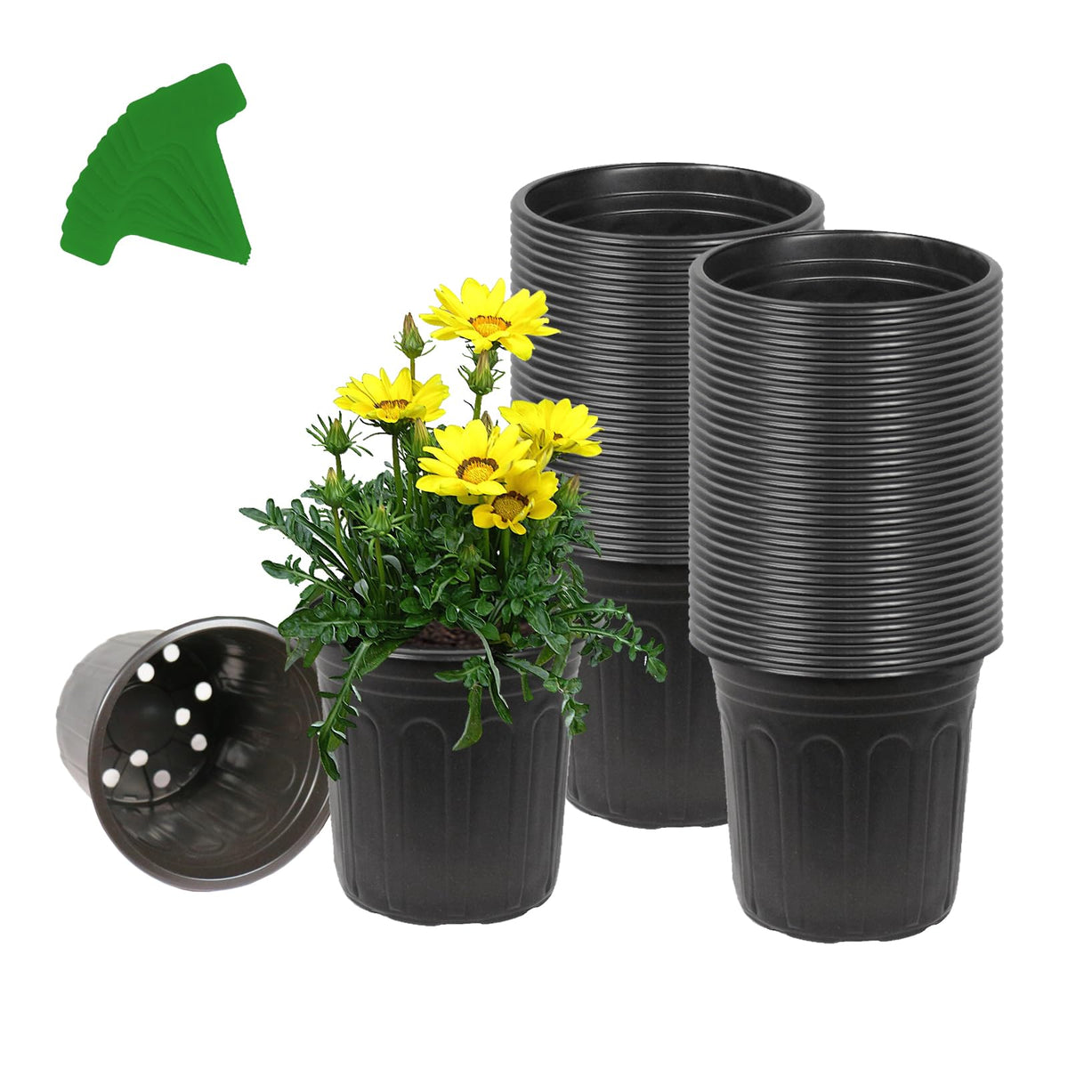 Niiiice 60-pack 1-gallon nursery pots for seed starting