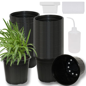 Niiiice 60-pack pots with compact packaging show space-saving storage.