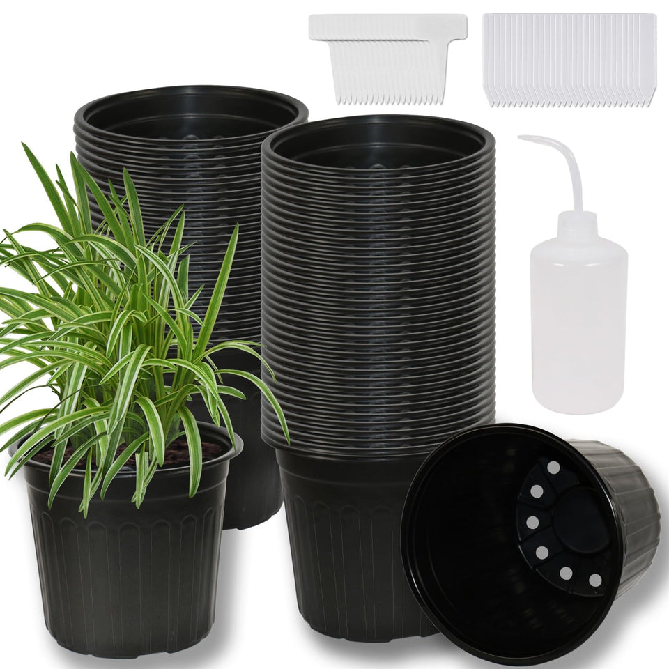 Niiiice 60-pack pots with compact packaging show space-saving storage.