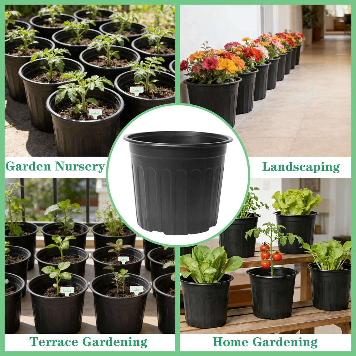 Niiiice plant labels show how to track plant names and care.