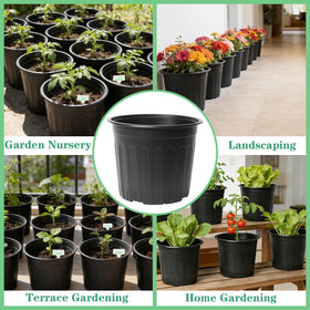 Niiiice plant labels show how to track plant names and care.