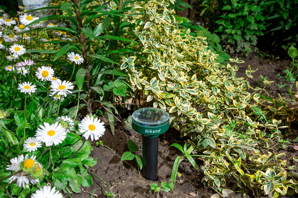 NIKAND Gopher Repellent Ultrasonic Solar Powered stake garden use deters moles and gophers.