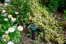 NIKAND Gopher Repellent Ultrasonic Solar Powered stake garden use deters moles and gophers.