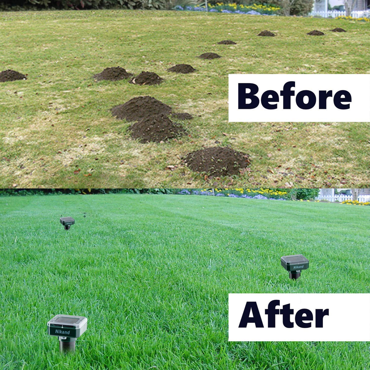 NIKAND Four-pack layout along lawn edges maximizes coverage and protection