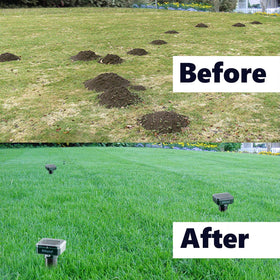 NIKAND Four-pack layout along lawn edges maximizes coverage and protection