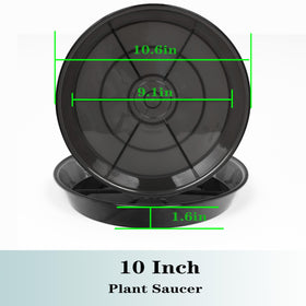 NIMYAU clear plant tray 10-inch shows drainage, enabling quick checks.