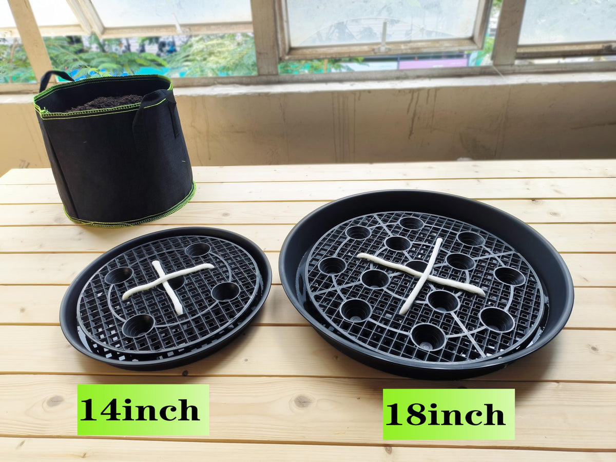 NIMYAU plant saucer drainage prevents root damage by guiding excess water away.