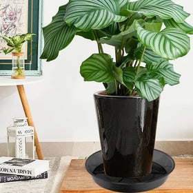 NIMYAU heavy-duty 14-inch plant saucer with bottom vent for durability.