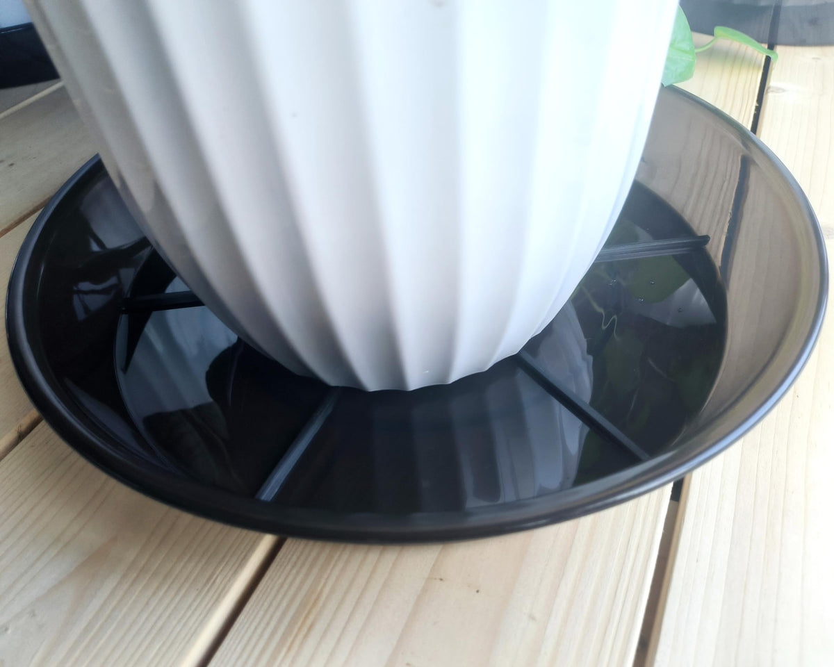 NIMYAU six-pack saucers offer compact storage and sturdy support.