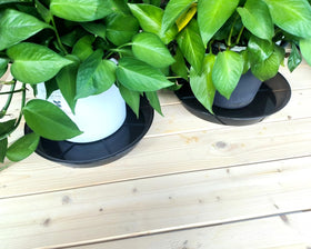 NIMYAU no-holes saucer protects floors while containing moisture.