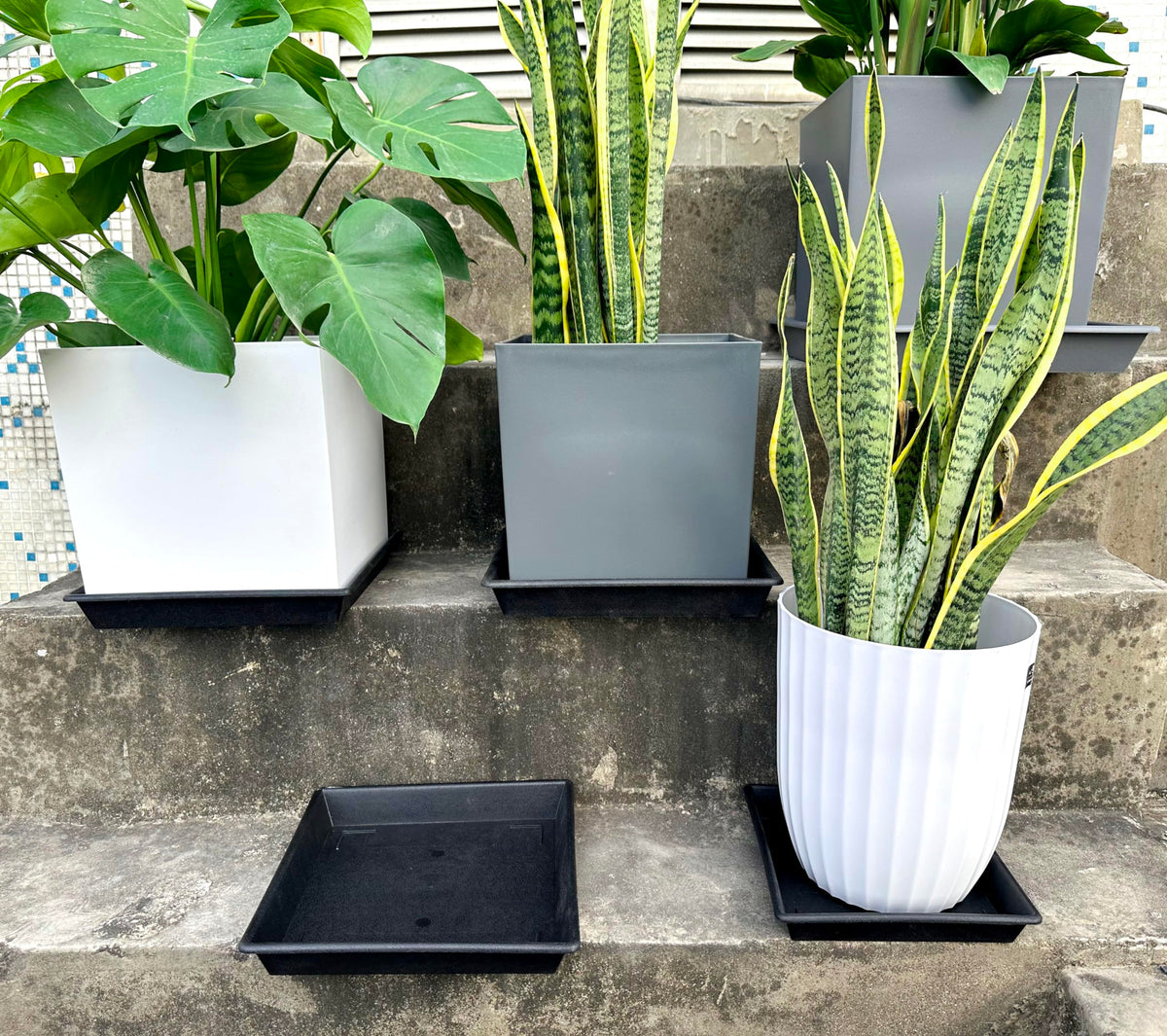 NIMYAU square plant saucer packaging photo shows five-pack convenience.