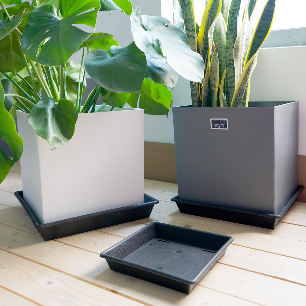 NIMYAU no-holes square plant tray design for neat drainage.