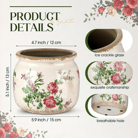 Ninehaoou ceramic pot in beige-pink with rose pattern suits indoor decor.