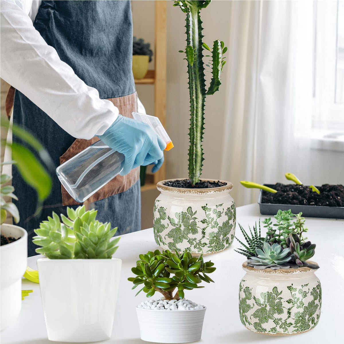 Ninehaoou compact design fits shelves, desks, and windowsills.