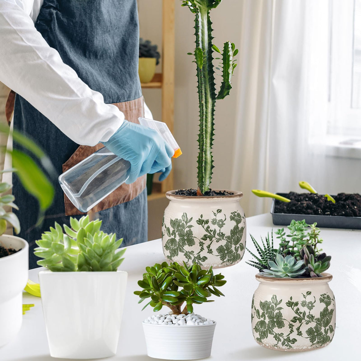 Ninehaoou planter side profile showing compact size for tabletops