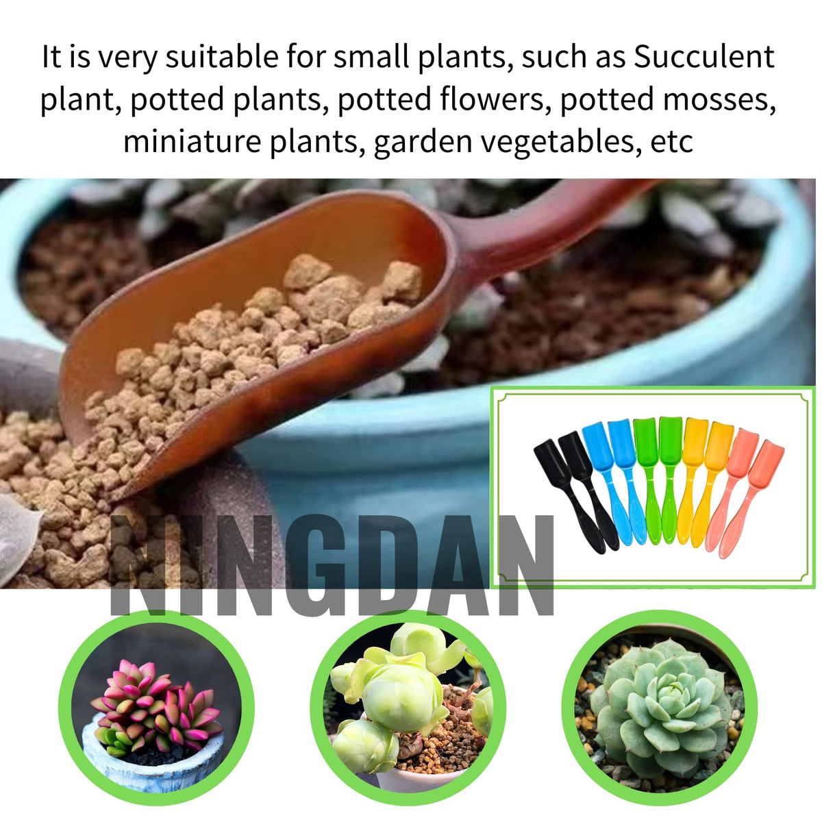 NINGDAN mini shovel used to transplant succulents with a gentle touch