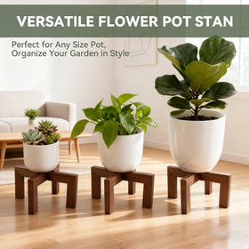 Nipyata stand placed by a window to maximize natural light on plants.