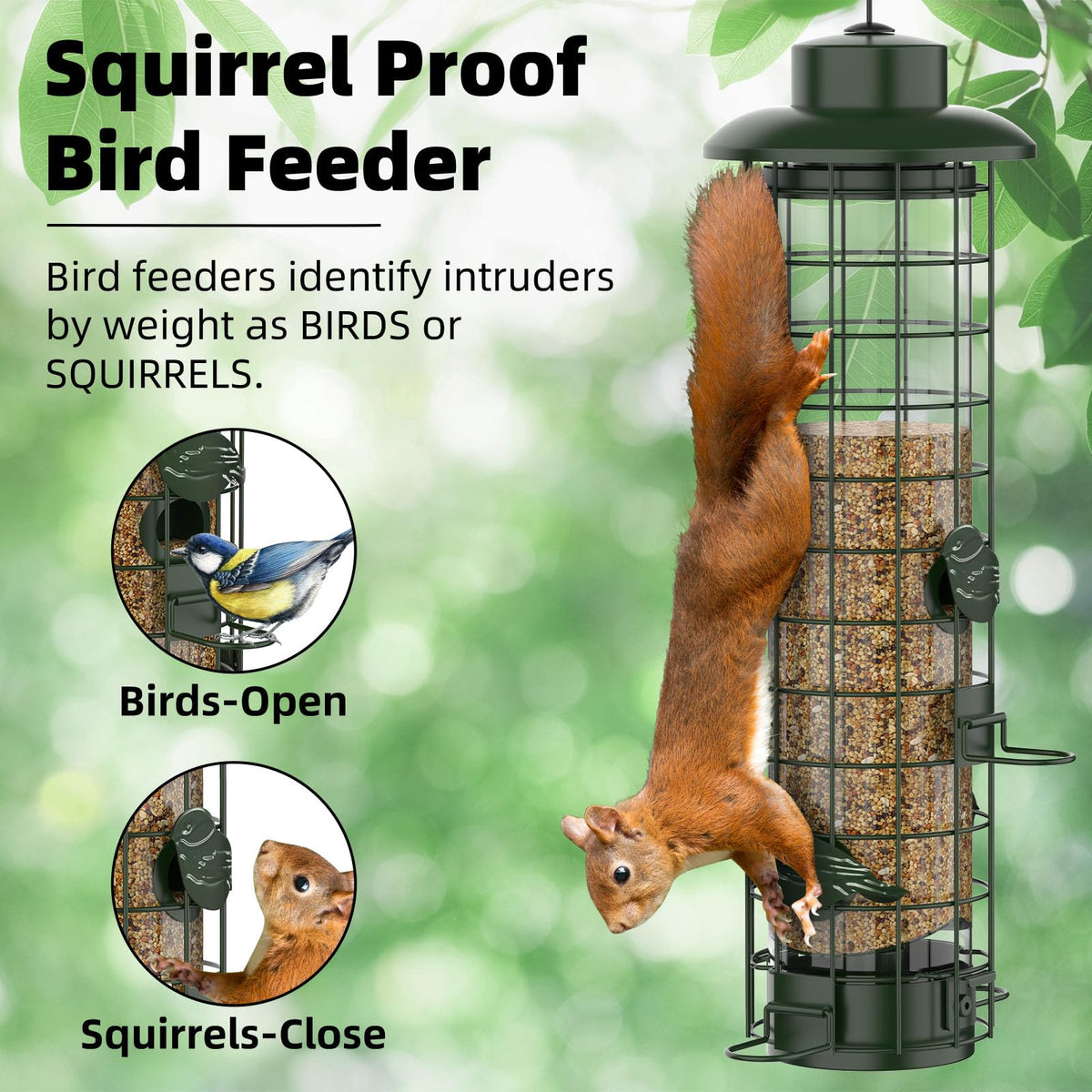 Niser gravity-protection feeder deters squirrels while birds feed
