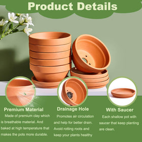 NiSevenLiving six-pack of shallow pots arranged for organized succulent displays.