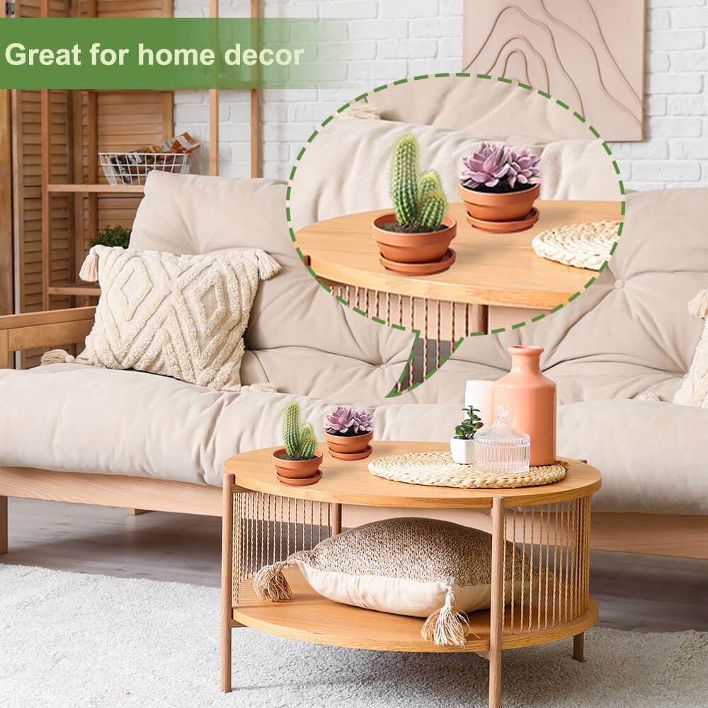 NiSevenLiving succulents thrive in terracotta pots with breathable walls and drainage.