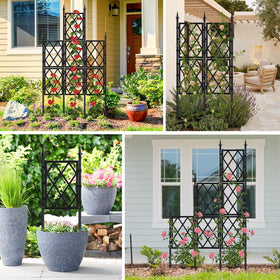 Nisoger garden twist tie included for easy training of vines.