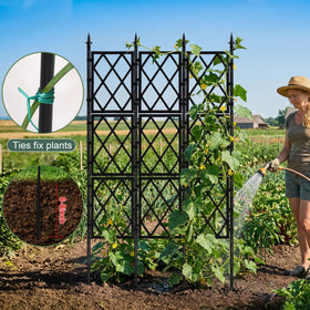 Nisoger indoor plant display uses the trellis as a decorative support.
