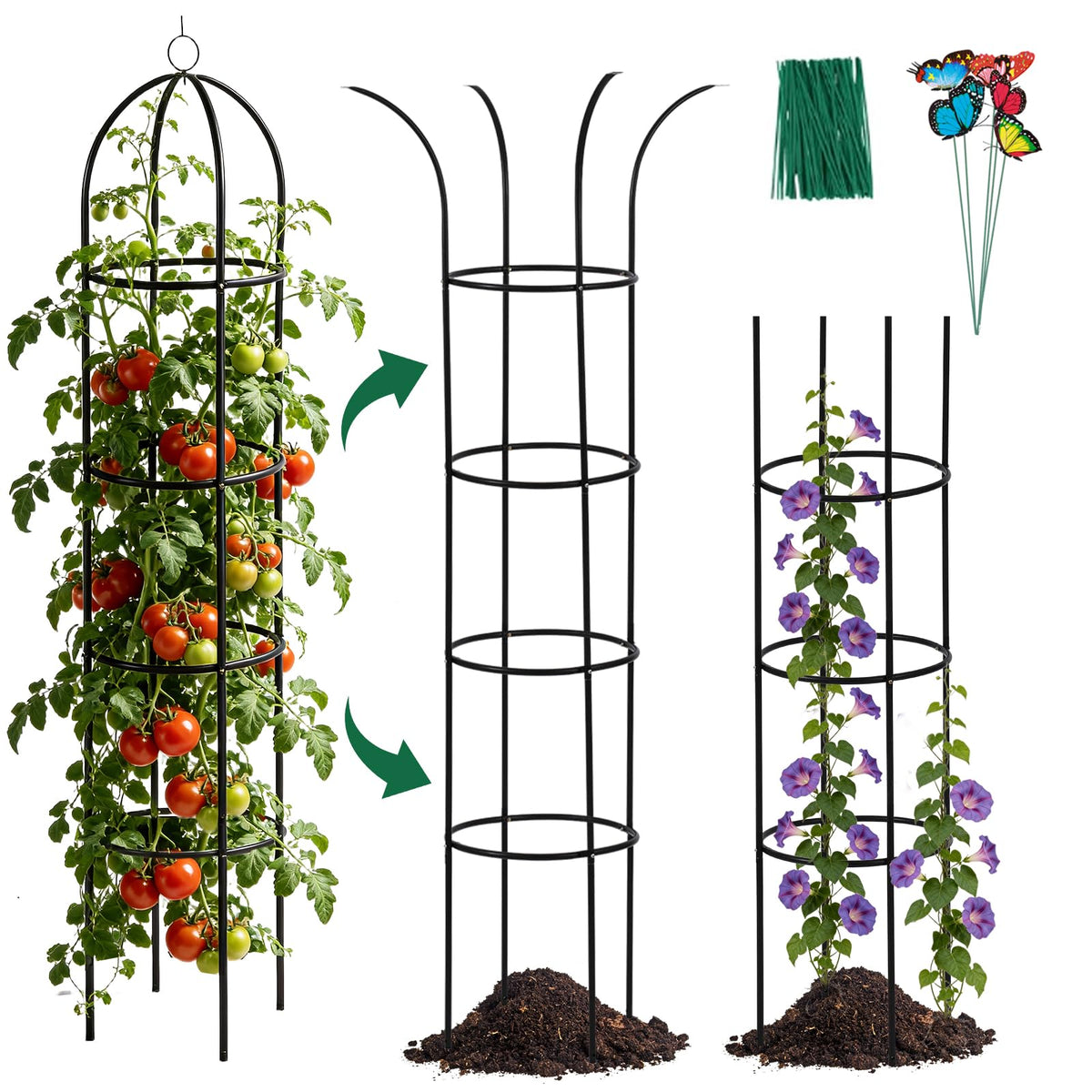 Nisoger obelisk garden trellis provides sturdy support for climbing roses and vines.