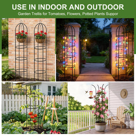 Nisoger 2-pack set offers paired climb support and display versatility.
