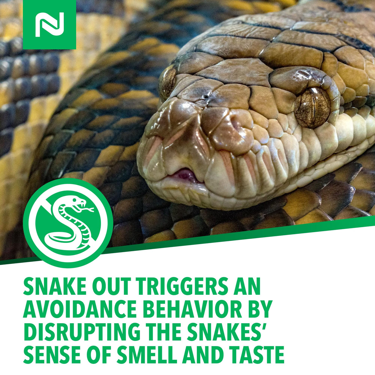 Nisus Snake Out supports seasonal protection around sheds and yards.