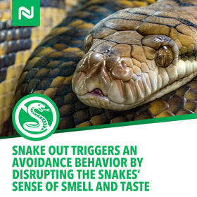 Nisus Snake Out supports seasonal protection around sheds and yards.