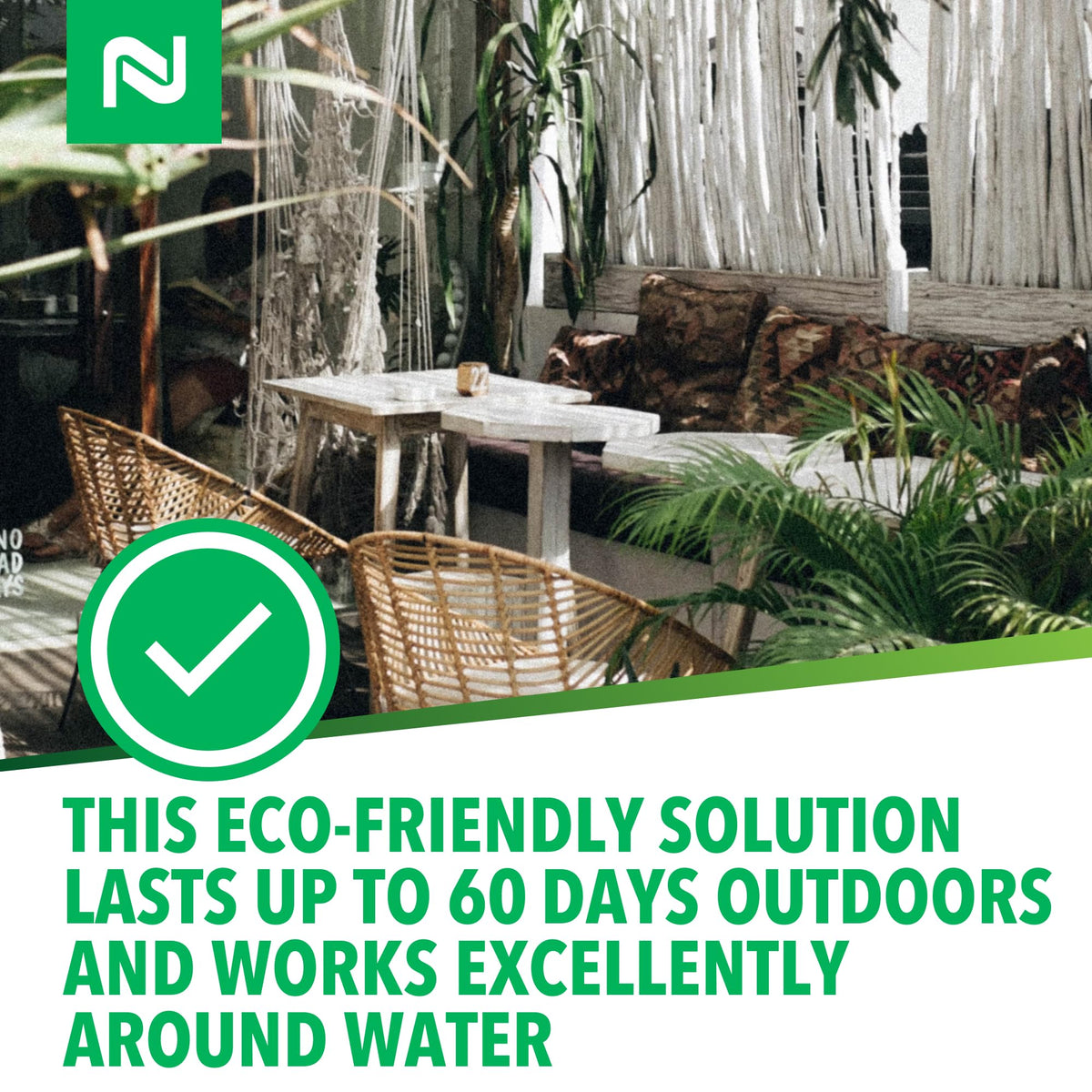 Nisus Web Out Cobweb Eliminator greenhouse-use keeps greenhouses spider-free