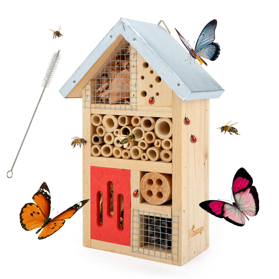 Niteangel insect hotel front view showing a wooden shelter for garden insects
